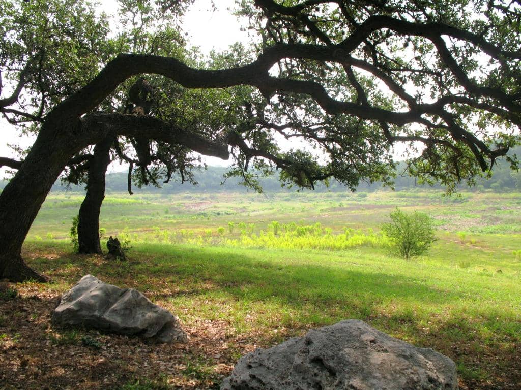 Scenic Hiking Trails