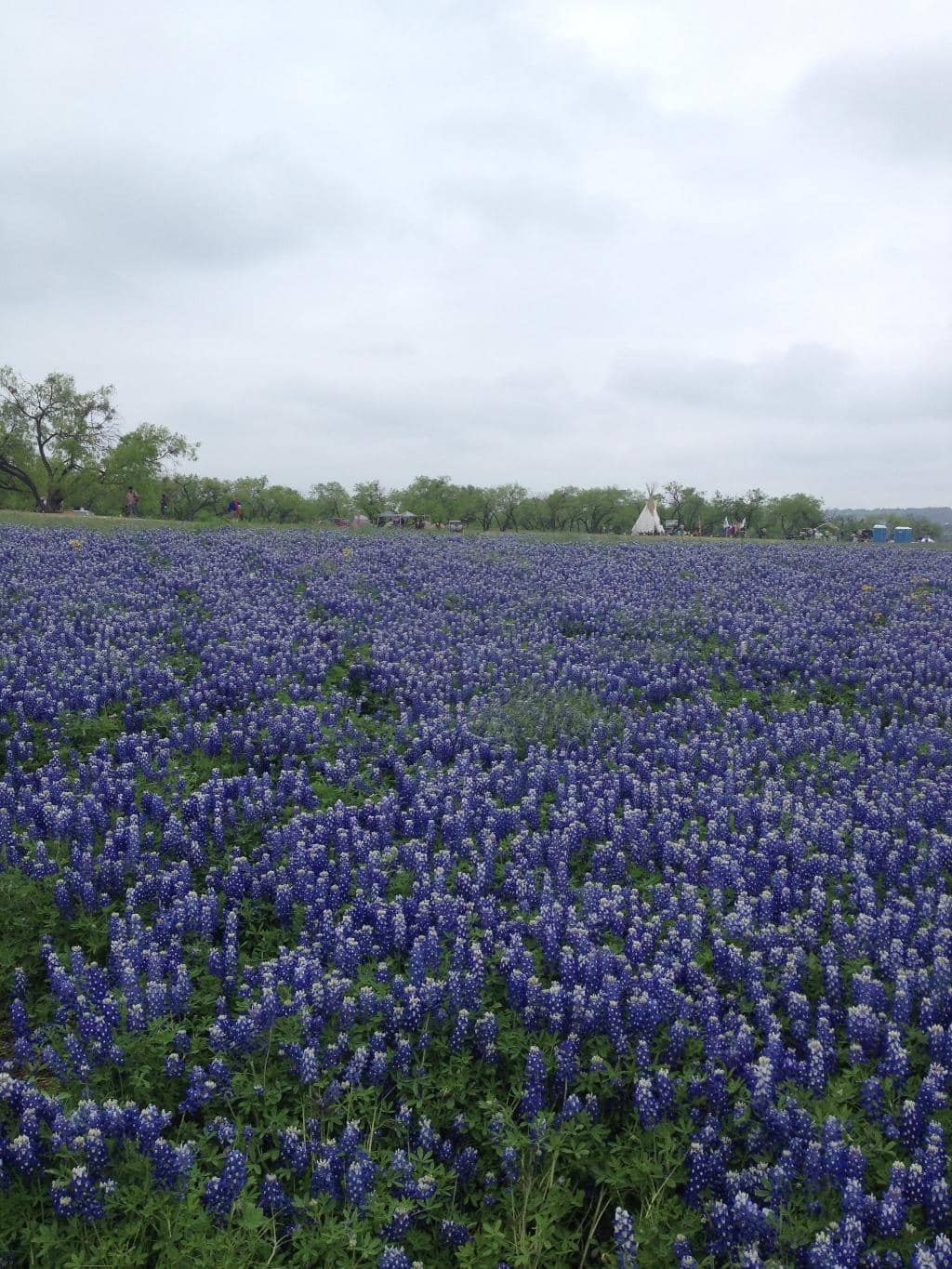 Hiking & Biking Trails