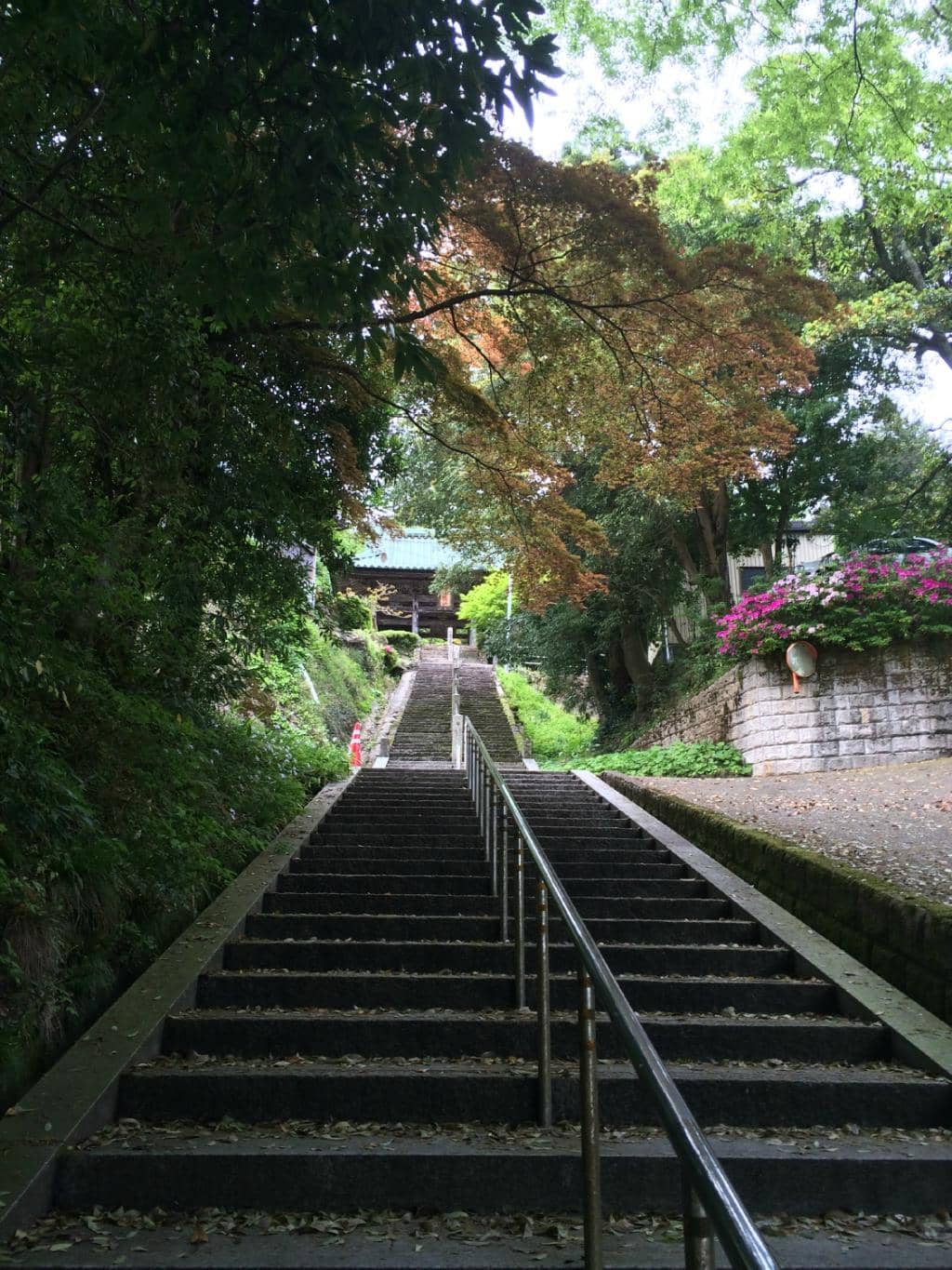 Treasure Museum Exhibits