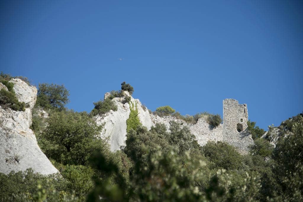 The Cathedral Cellar