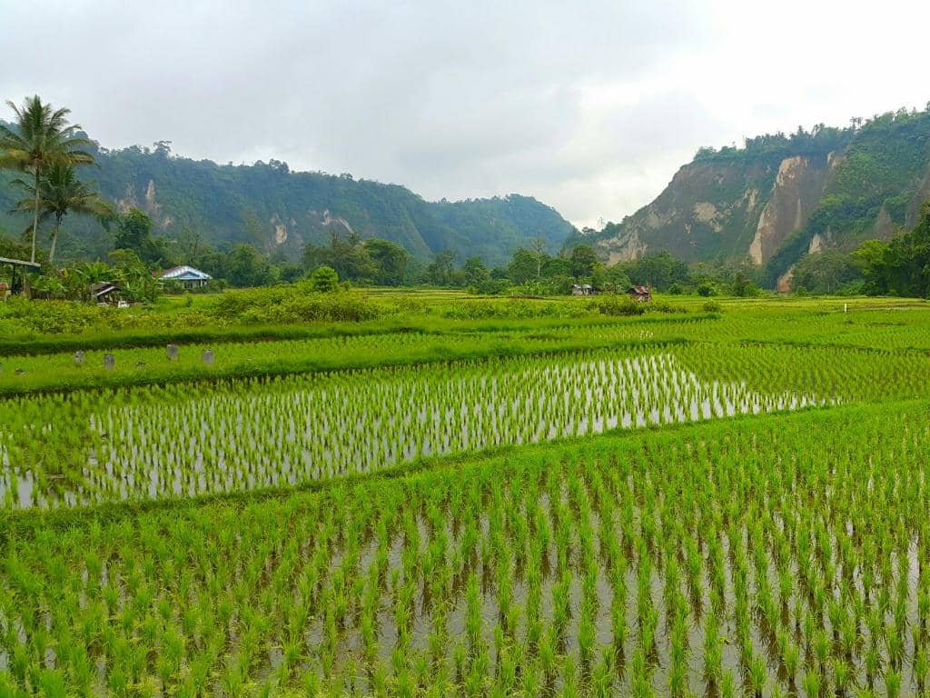 Lobang Jepang (Japanese Caves)
