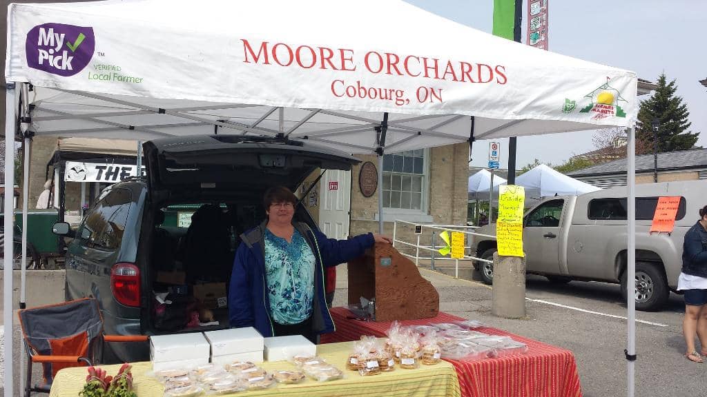 Family & Pet-Friendly Atmosphere