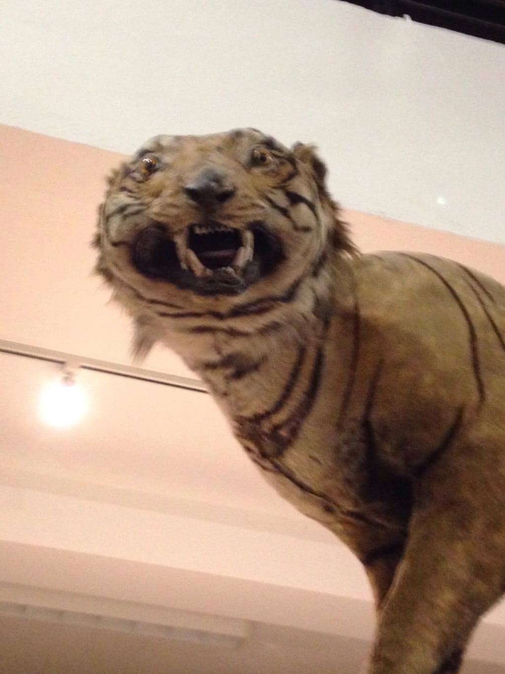 Interactive Exploration Room