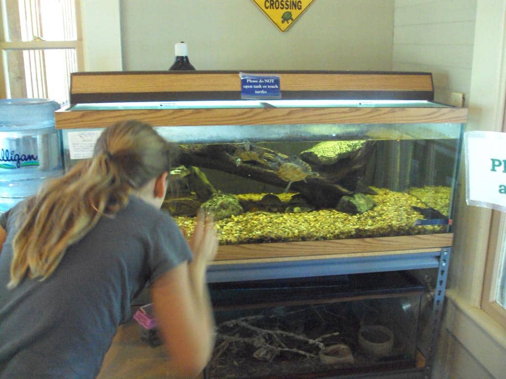 Cibolo Creek Exploration