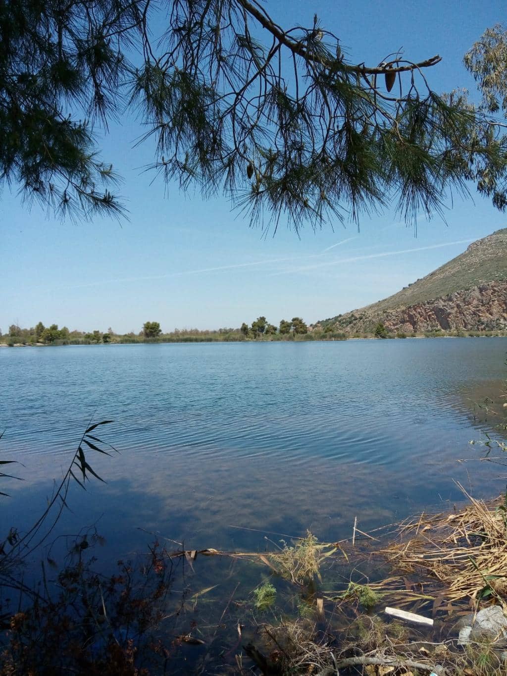 Forested Trails and Scenic Walks