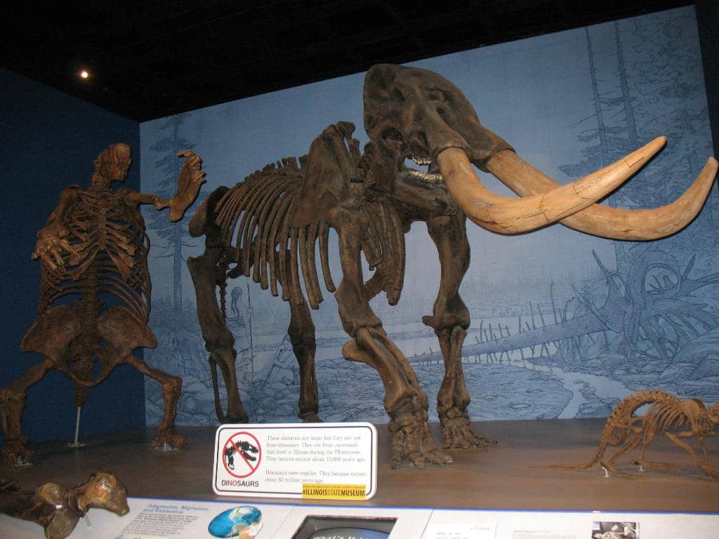 Growing Up X Exhibit