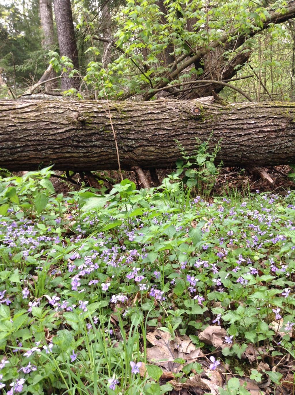 Unique Art Installations