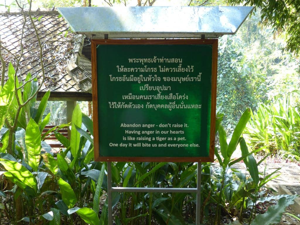 The 510 Steps to Serenity