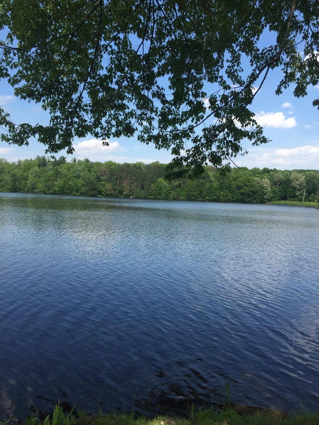 Children's Playground