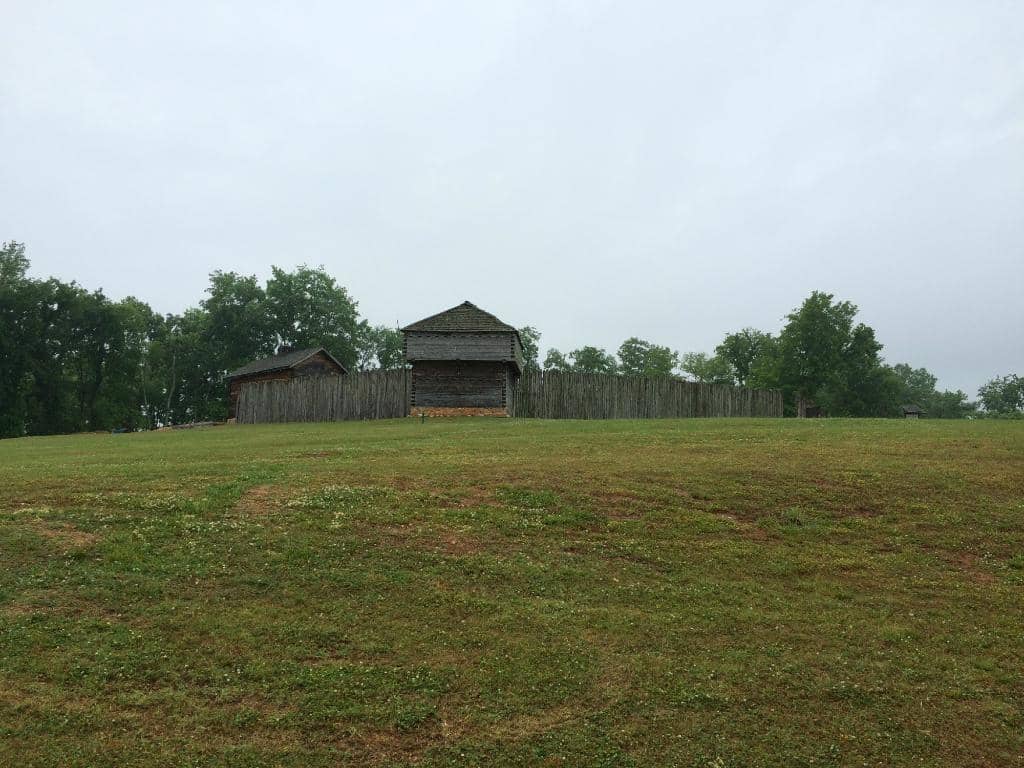 Knowledgeable Curator