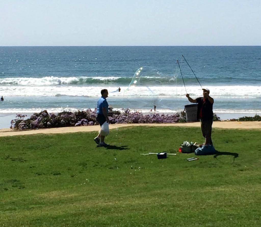 Oceanfront Playground