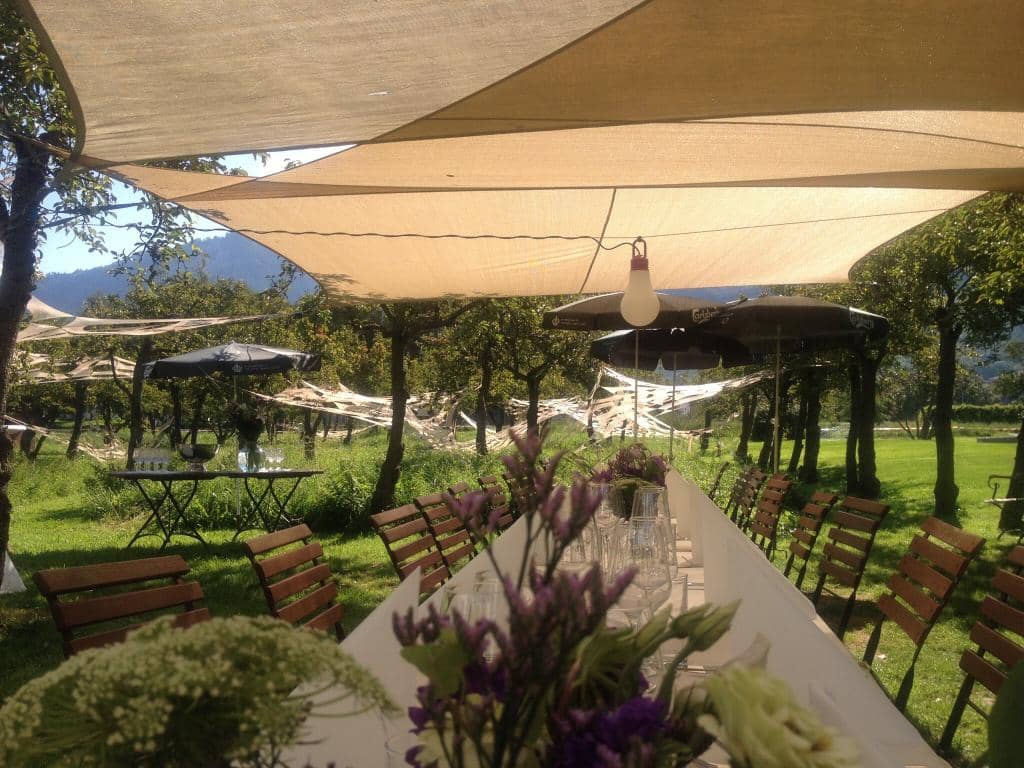 Art Gallery & Concert Hall