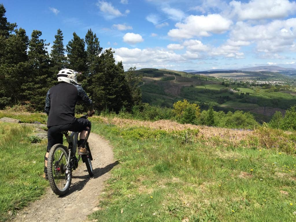 Beginner Course Experience