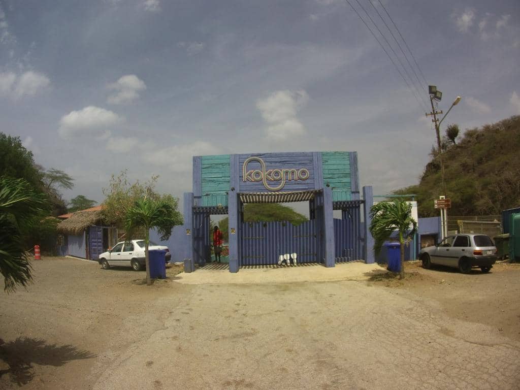 Vibrant Underwater World