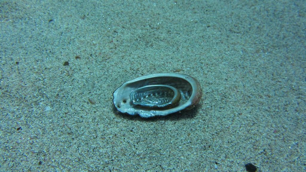 Tranquil Dawn at Cala d'Oliva