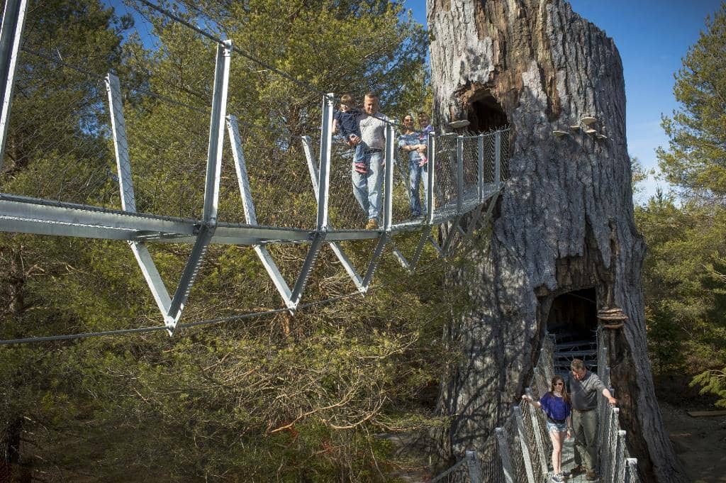 Live Animal Exhibits