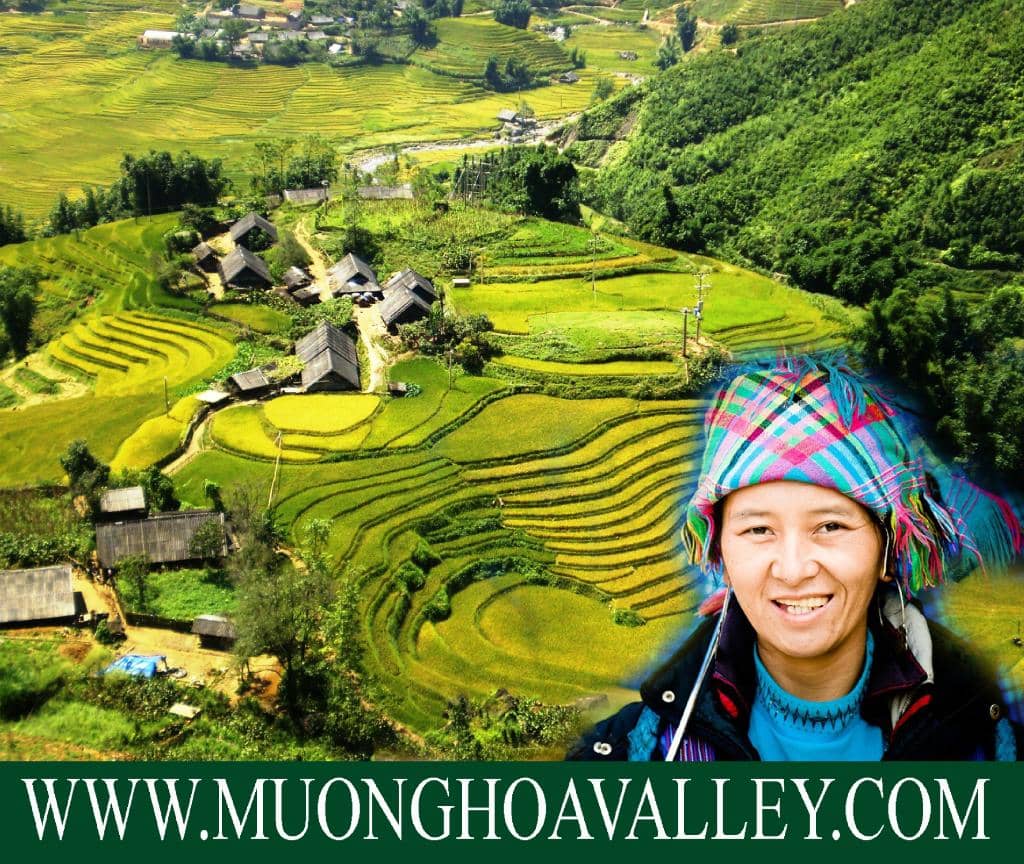 Muong Hoa Valley Terraces