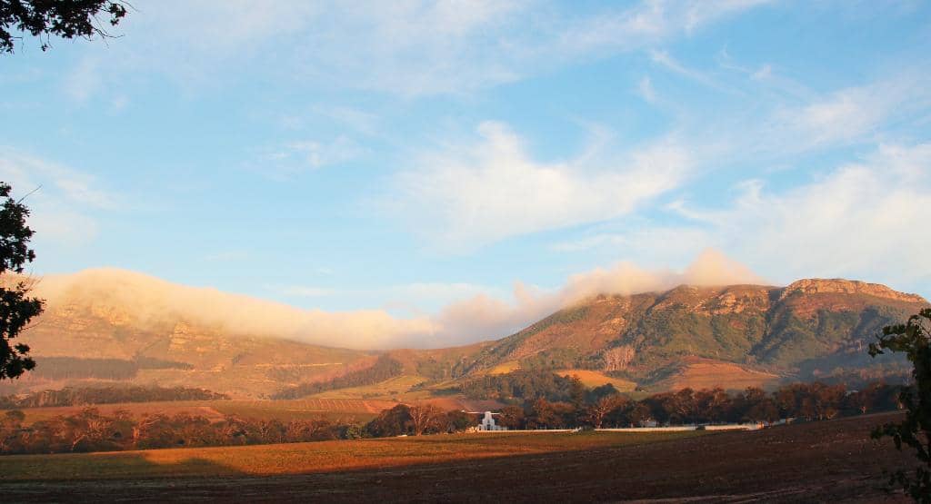 Wine Tasting Experience