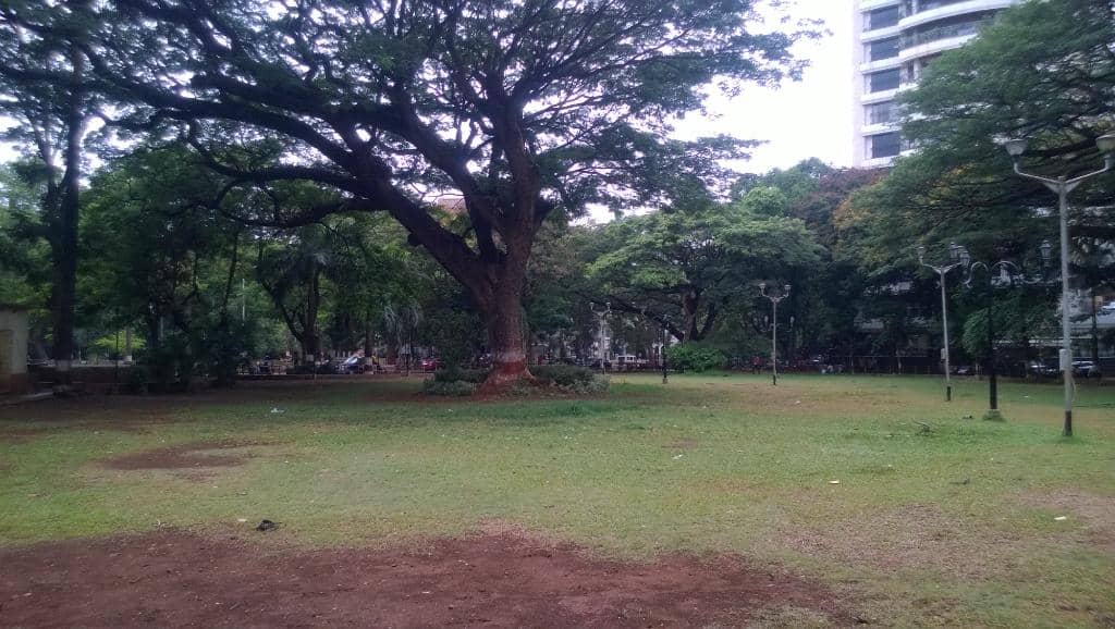 Morning Exercise Haven