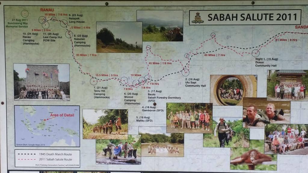 Tree House Canopy Walk