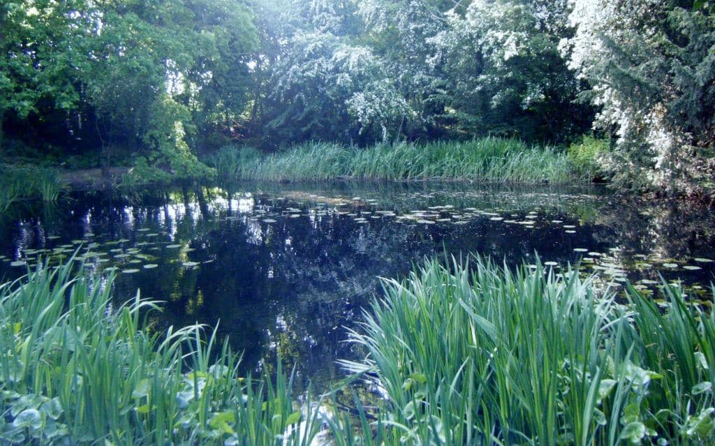 Bird Hides and Wildlife Spots