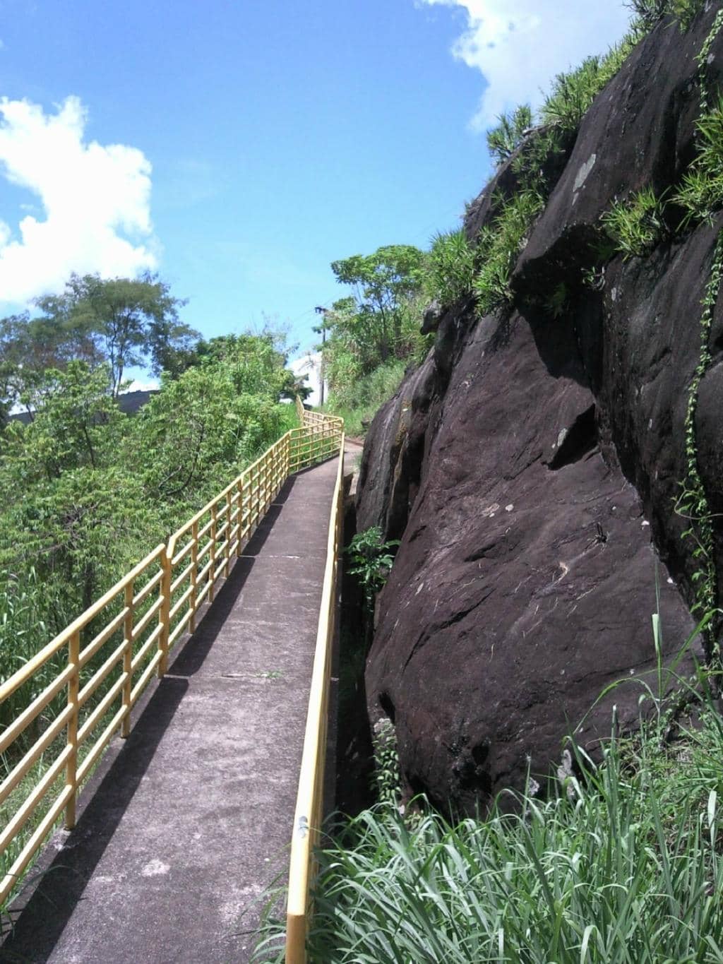 Bernardo Mascarenhas' Vision