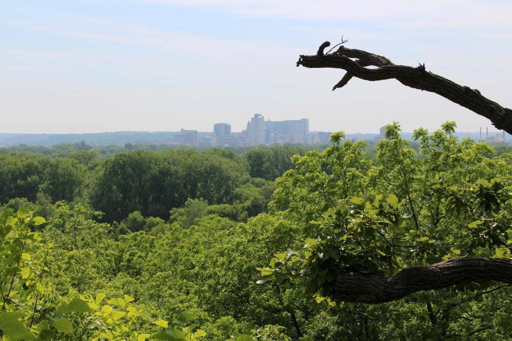 Nature Center Exhibits