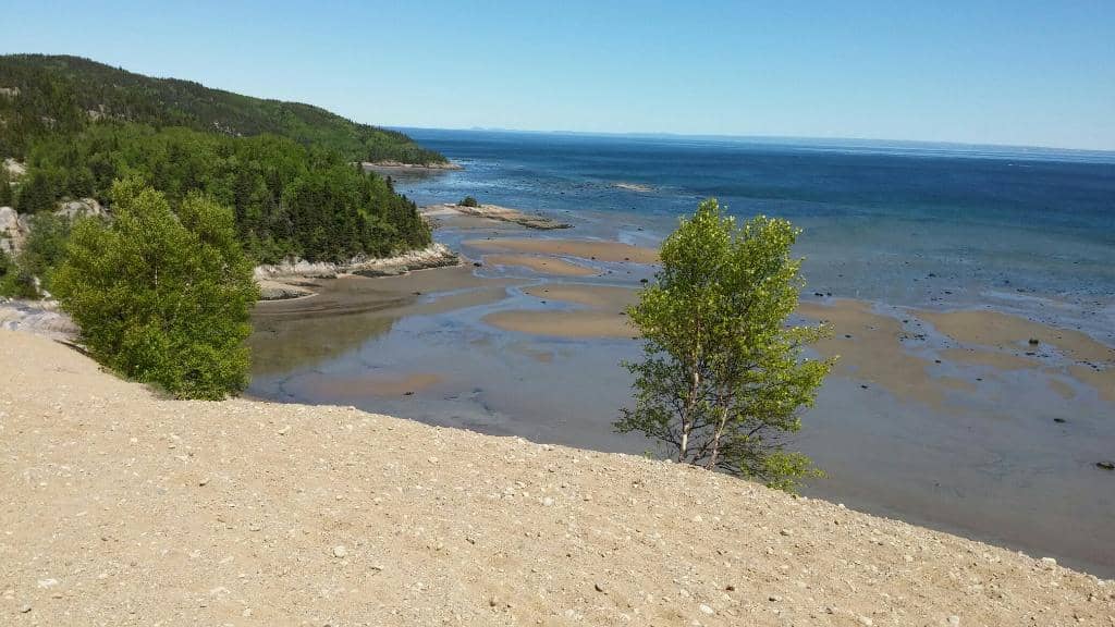 The Diagonal Trail Hike