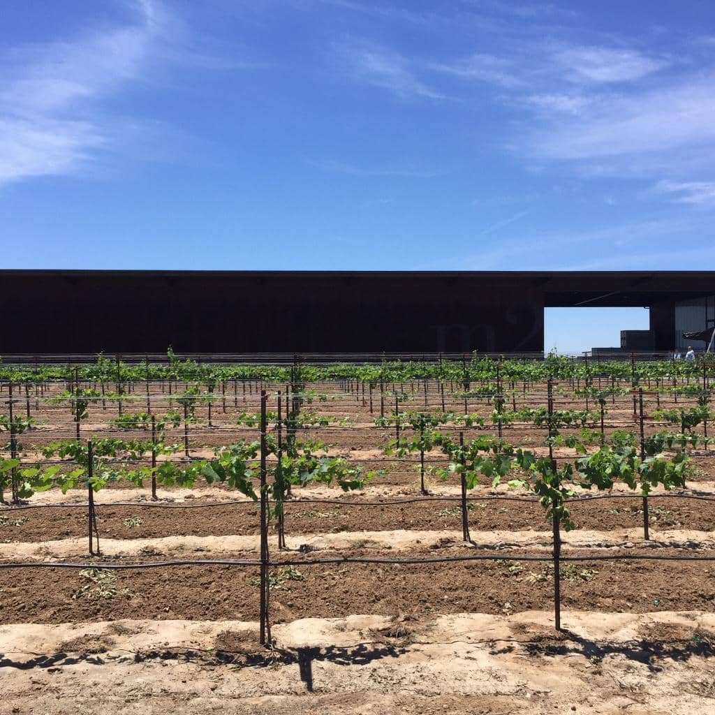 Select Block Zinfandel