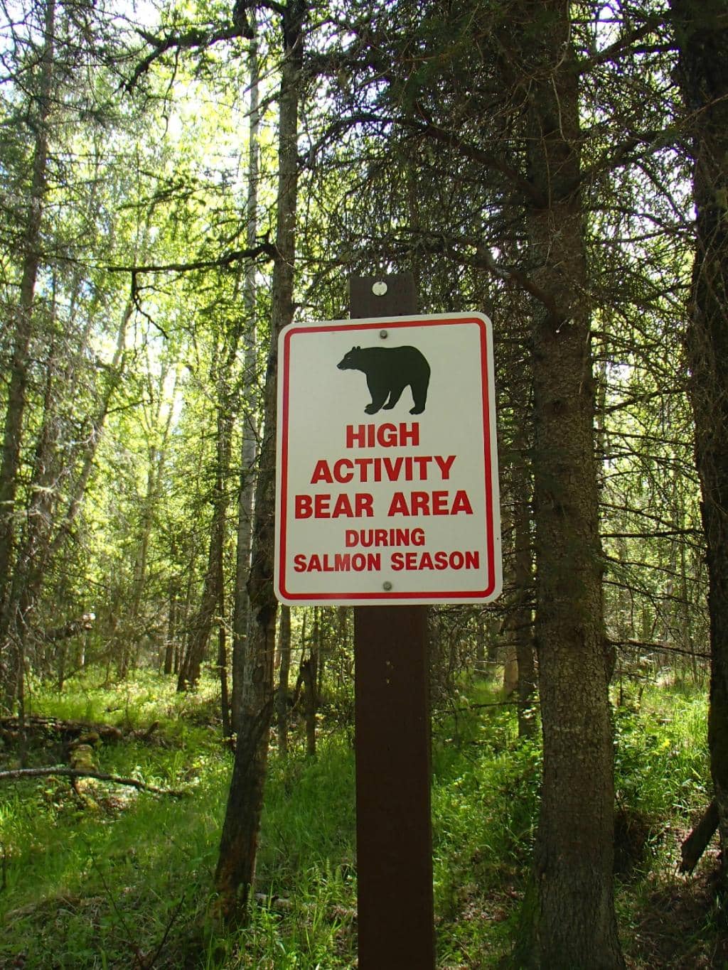 Winter Sports Paradise