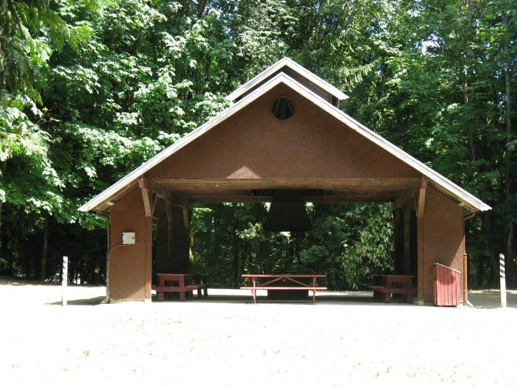 Old-Growth Forest Trails