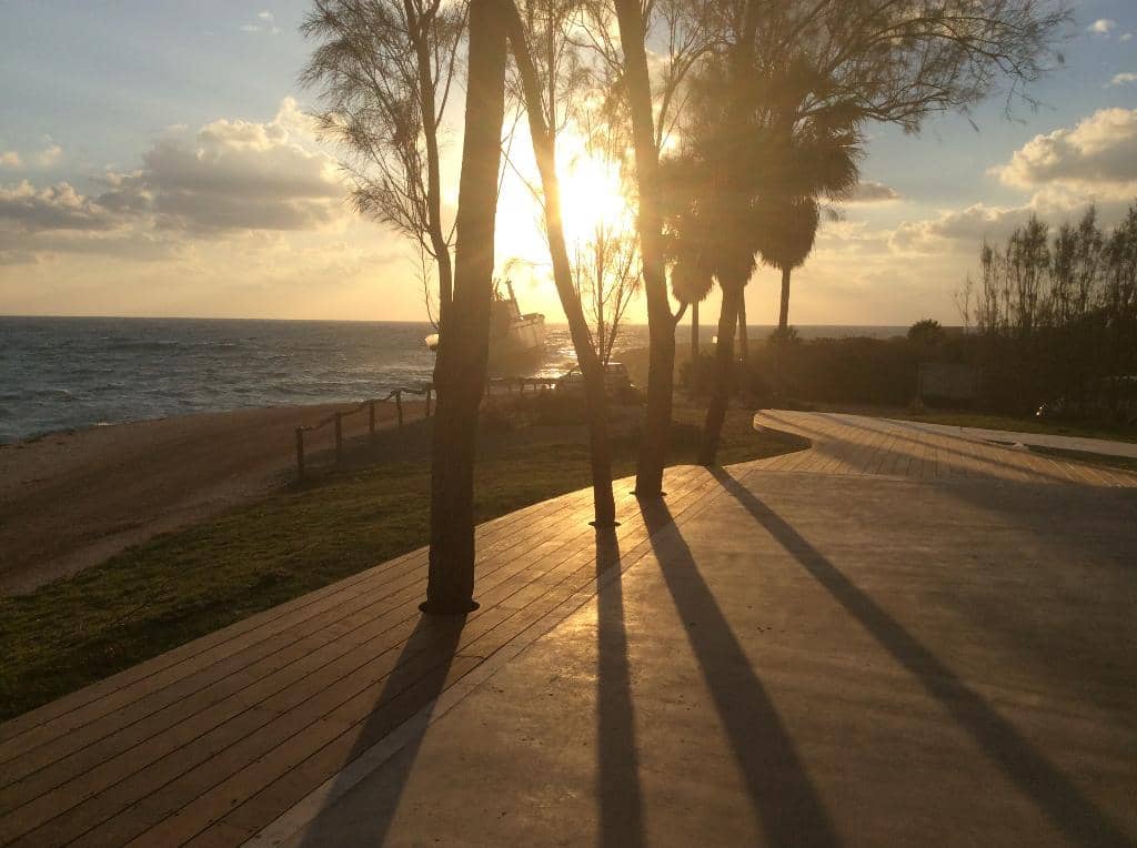 Authentic Greek Cuisine