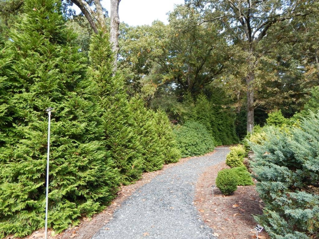 Interactive Kids' Zone