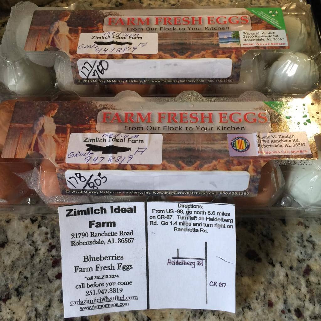 Gourmet Treats & Eats