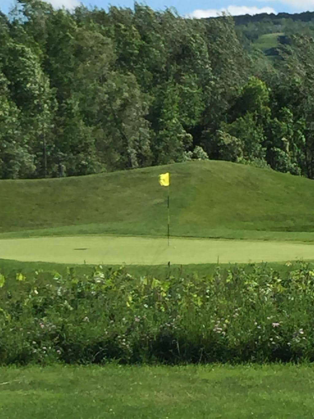 Well-Maintained Greens