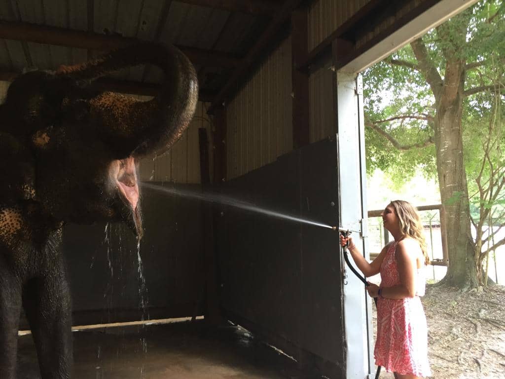 Extreme Encounter Experience