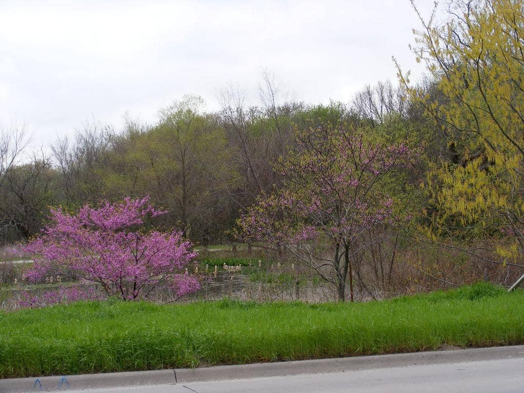 Peaceful Nature Trails