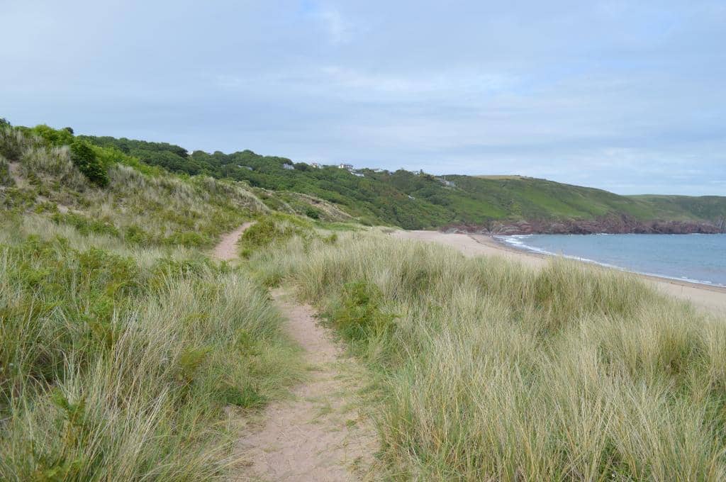 Dog-Friendly Paradise