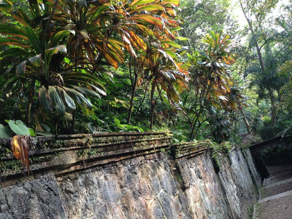 Playgrounds & Green Spaces