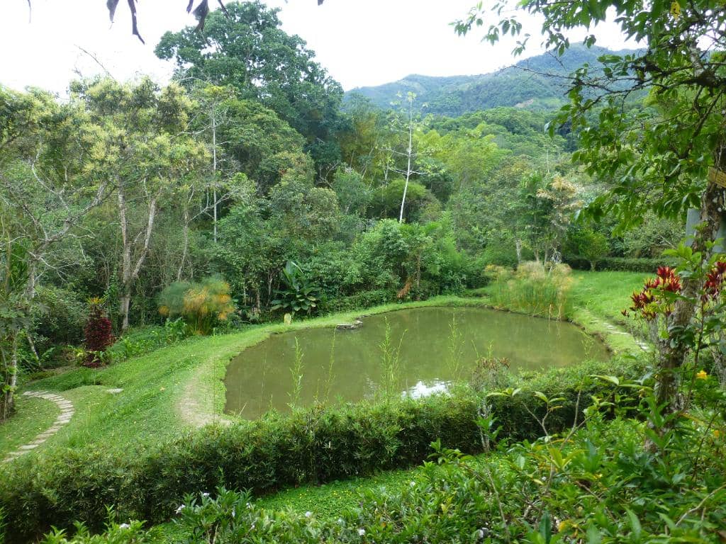 Tranquil Botanical Gardens