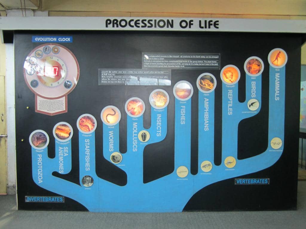 Coal Mine Experience