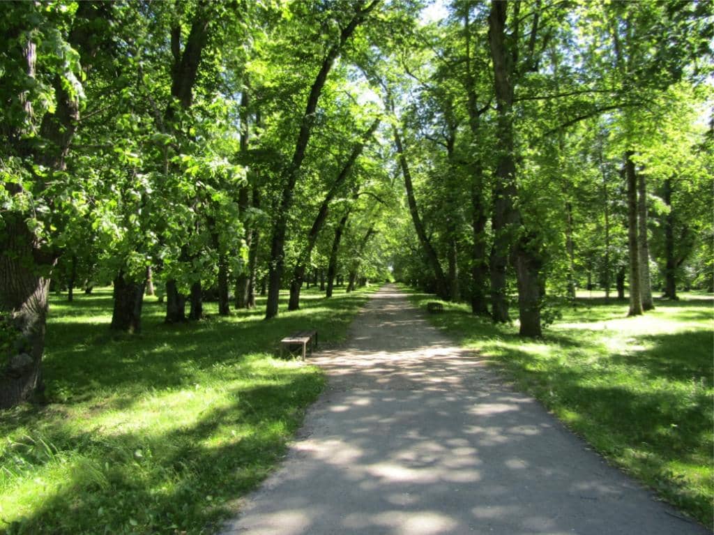 Raadi Manor Grounds