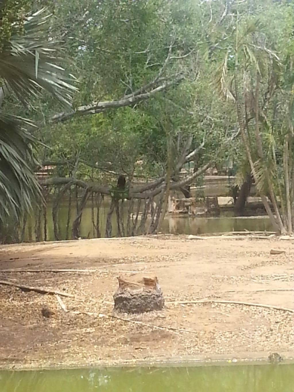 Motocross Track Area