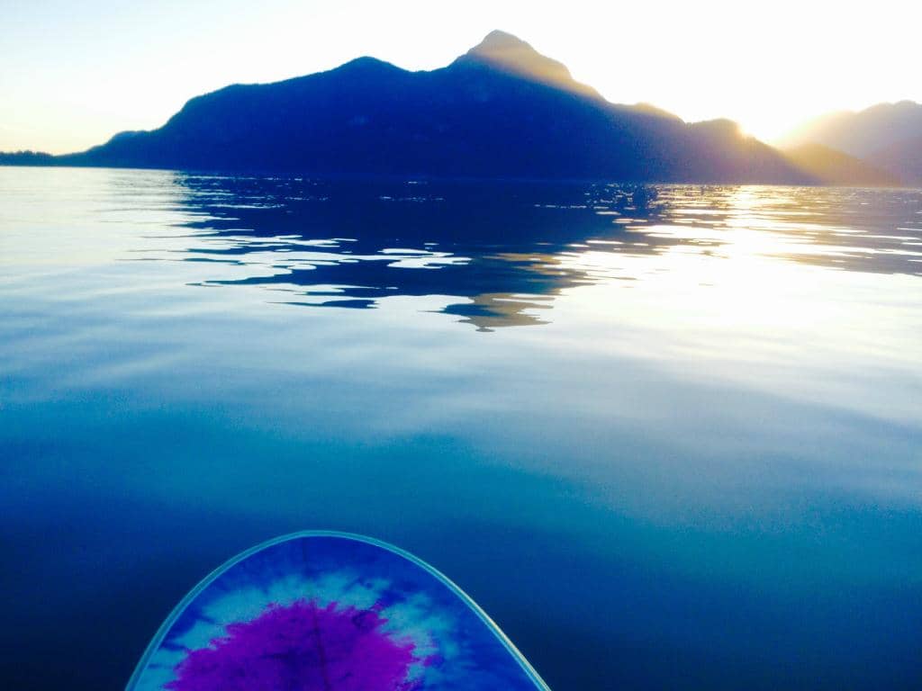 Scuba Diving & Marine Life