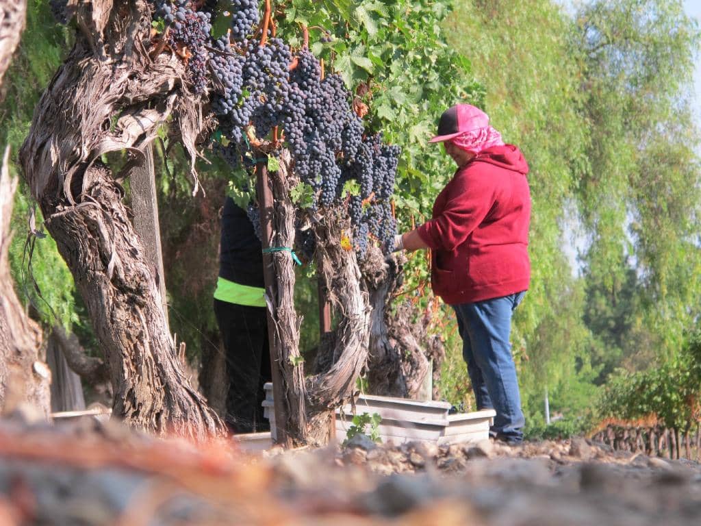 Family-Friendly Space