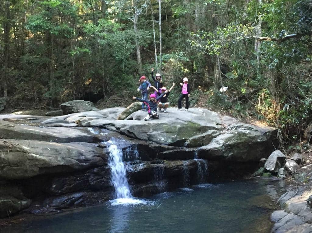 Rainforest Boardwalk