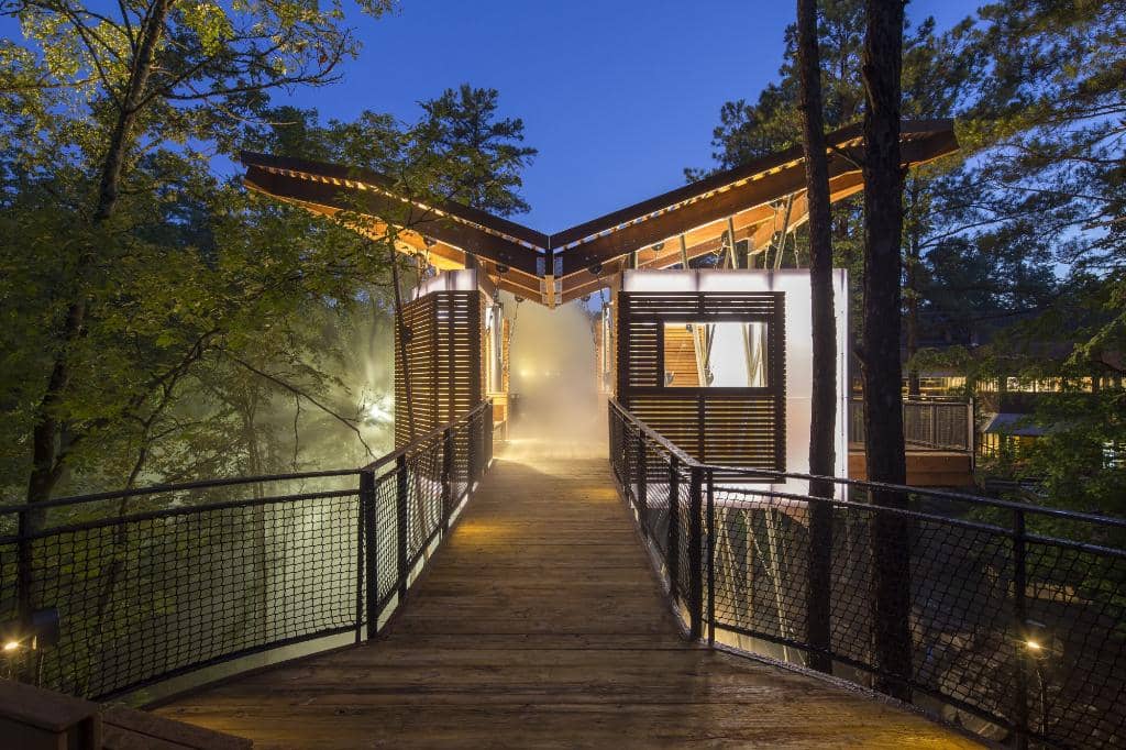 Dino Trek & Fossil Dig