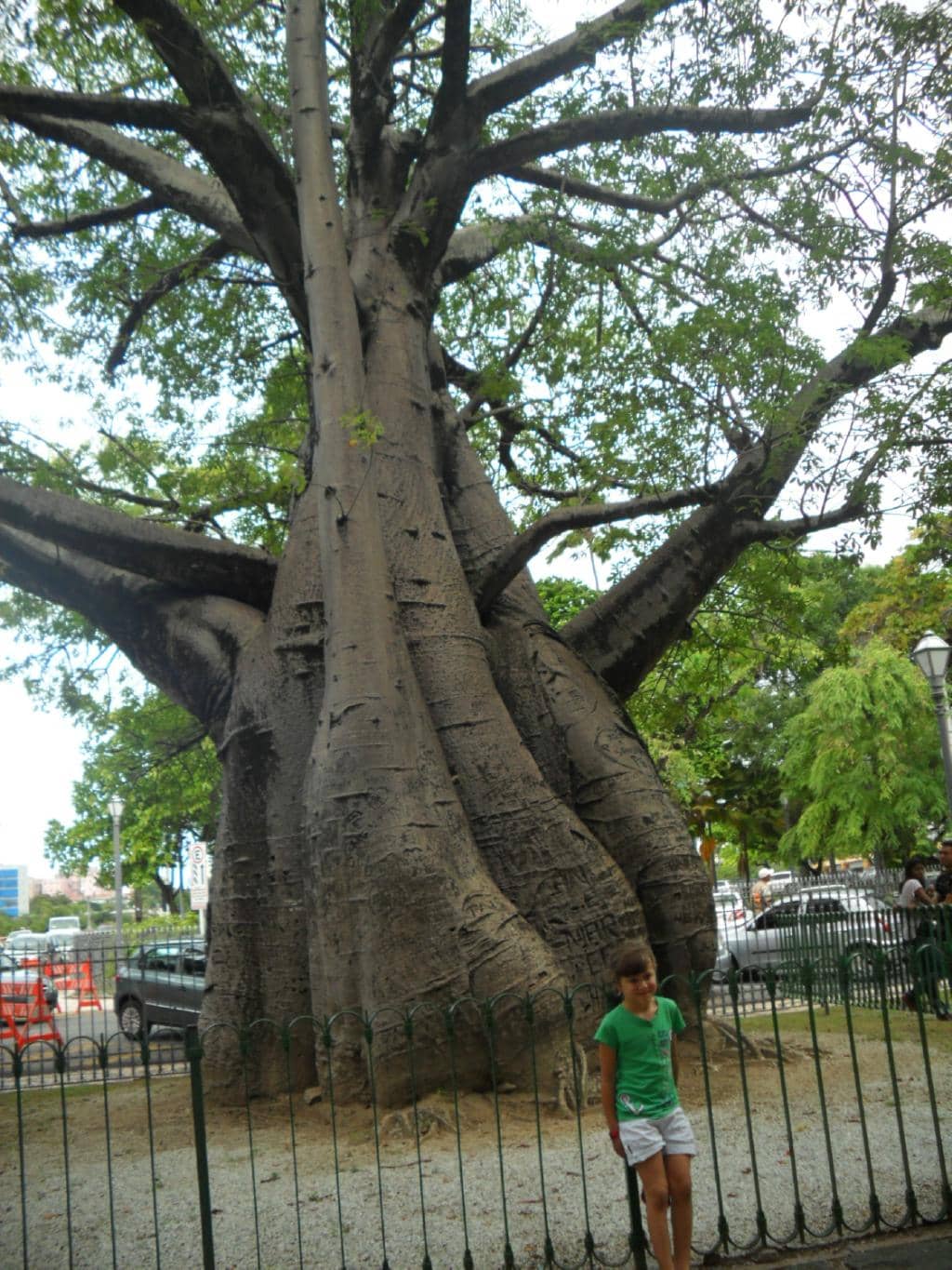 Historical Guided Tours