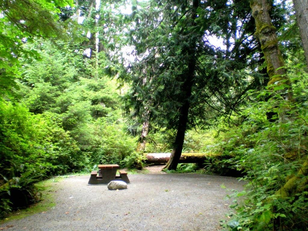 Playground & Picnic Areas