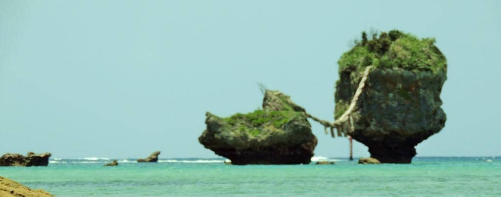 Netted Swimming Area